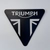 Triumph Sign, Wall Art
