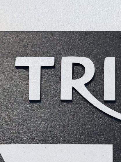 Triumph Sign, Wall Art - Image 2