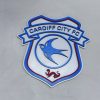 Cardiff City FC Plaque